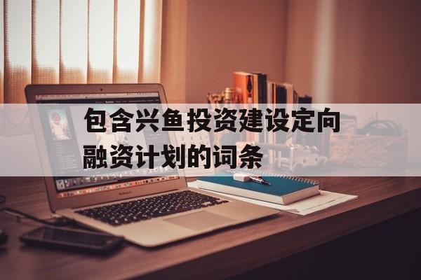 包含兴鱼投资建设定向融资计划的词条