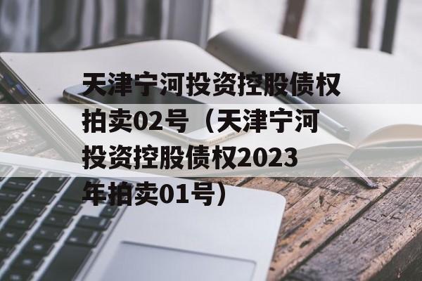 天津宁河投资控股债权拍卖02号（天津宁河投资控股债权2023年拍卖01号）