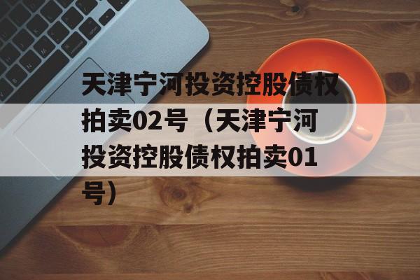 天津宁河投资控股债权拍卖02号（天津宁河投资控股债权拍卖01号）