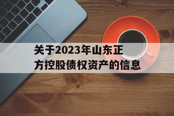 关于2023年山东正方控股债权资产的信息