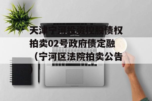 天津宁河投资控股债权拍卖02号政府债定融（宁河区法院拍卖公告）