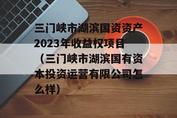 三门峡市湖滨国资资产2023年收益权项目（三门峡市湖滨国有资本投资运营有限公司怎么样）