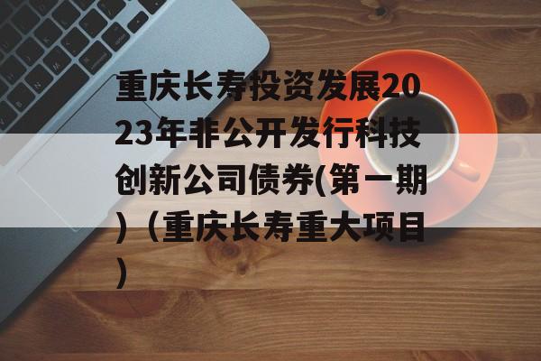 重庆长寿投资发展2023年非公开发行科技创新公司债券(第一期)（重庆长寿重大项目）