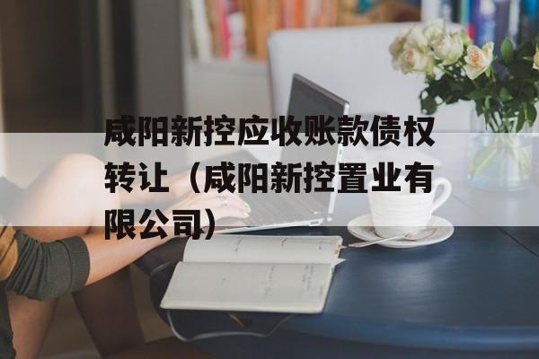 咸阳新控应收账款债权转让（咸阳新控置业有限公司）