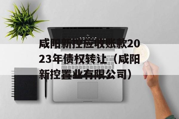 咸阳新控应收账款2023年债权转让（咸阳新控置业有限公司）