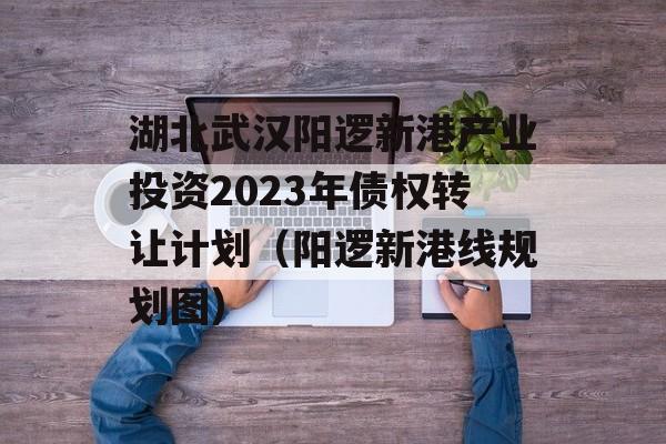 湖北武汉阳逻新港产业投资2023年债权转让计划（阳逻新港线规划图）