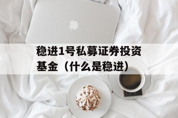 稳进1号私募证券投资基金（什么是稳进）