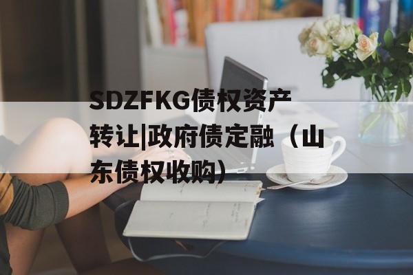 SDZFKG债权资产转让|政府债定融（山东债权收购）