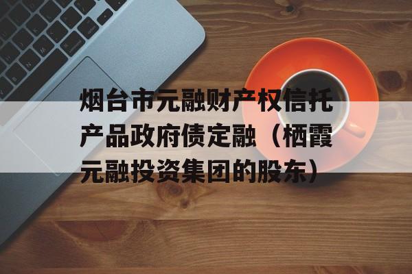 烟台市元融财产权信托产品政府债定融（栖霞元融投资集团的股东）