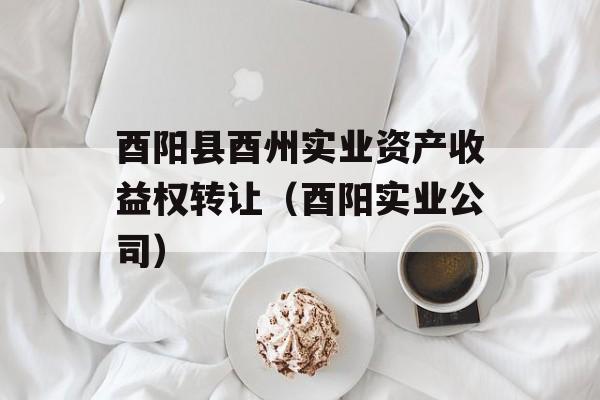 酉阳县酉州实业资产收益权转让（酉阳实业公司）