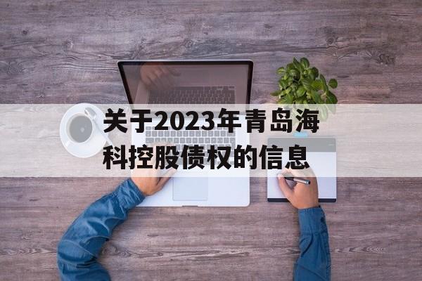 关于2023年青岛海科控股债权的信息