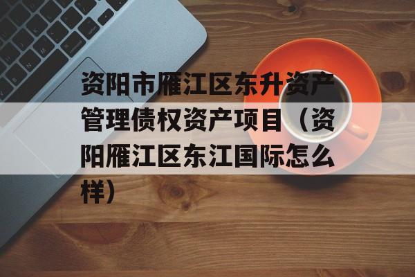 资阳市雁江区东升资产管理债权资产项目（资阳雁江区东江国际怎么样）