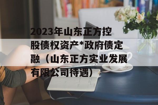 2023年山东正方控股债权资产*政府债定融（山东正方实业发展有限公司待遇）