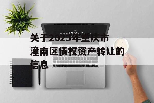 关于2023年重庆市潼南区债权资产转让的信息