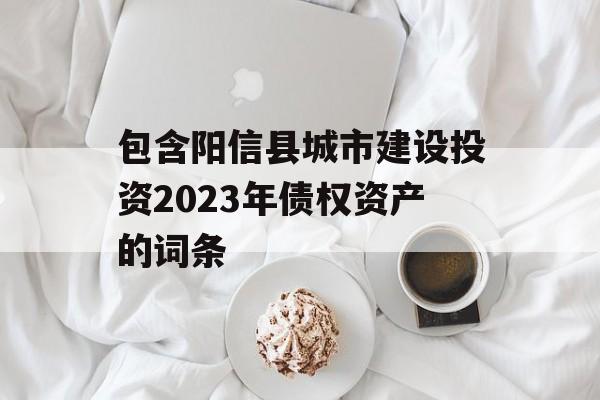 包含阳信县城市建设投资2023年债权资产的词条