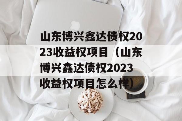 山东博兴鑫达债权2023收益权项目（山东博兴鑫达债权2023收益权项目怎么样）