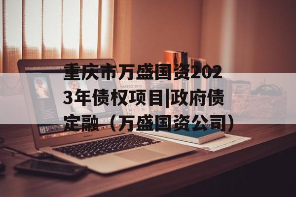 重庆市万盛国资2023年债权项目|政府债定融（万盛国资公司）