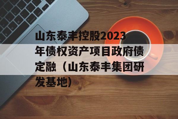 山东泰丰控股2023年债权资产项目政府债定融（山东泰丰集团研发基地）