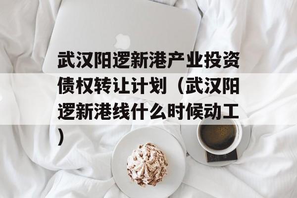 武汉阳逻新港产业投资债权转让计划（武汉阳逻新港线什么时候动工）