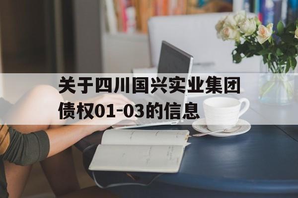 关于四川国兴实业集团债权01-03的信息