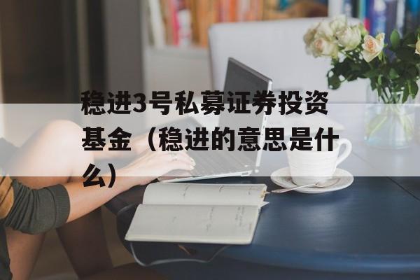 稳进3号私募证券投资基金（稳进的意思是什么）