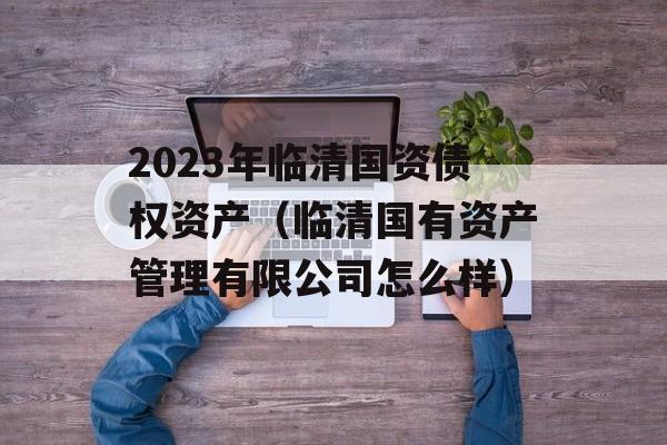 2023年临清国资债权资产（临清国有资产管理有限公司怎么样）