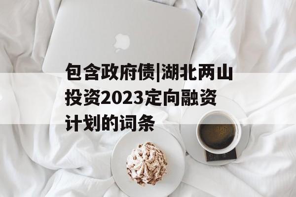 包含政府债|湖北两山投资2023定向融资计划的词条