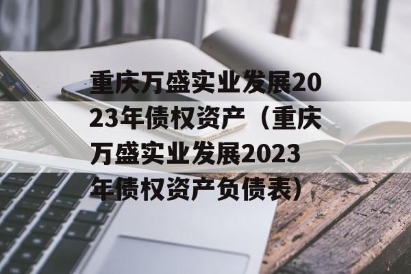 重庆万盛实业发展2023年债权资产（重庆万盛实业发展2023年债权资产负债表）