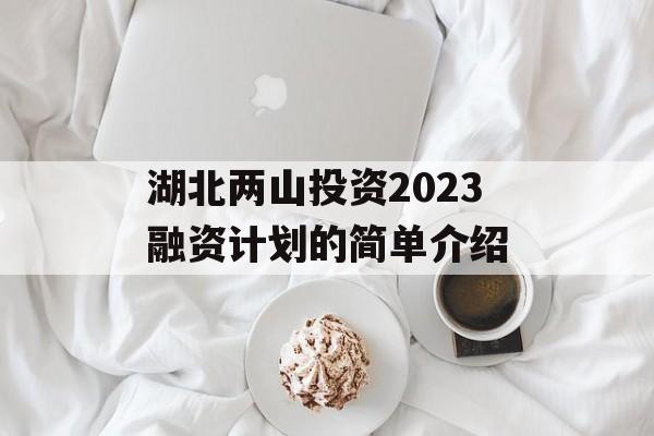 湖北两山投资2023融资计划的简单介绍