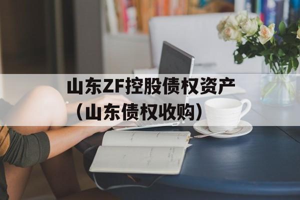 山东ZF控股债权资产（山东债权收购）