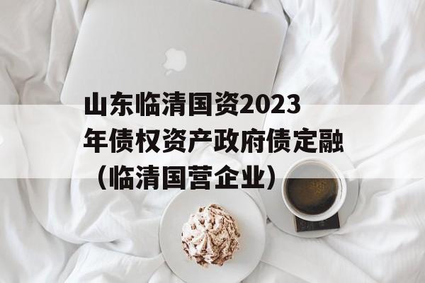 山东临清国资2023年债权资产政府债定融（临清国营企业）