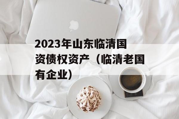 2023年山东临清国资债权资产（临清老国有企业）