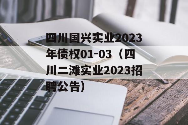 四川国兴实业2023年债权01-03（四川二滩实业2023招聘公告）