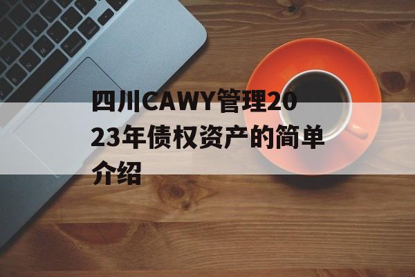 四川CAWY管理2023年债权资产的简单介绍