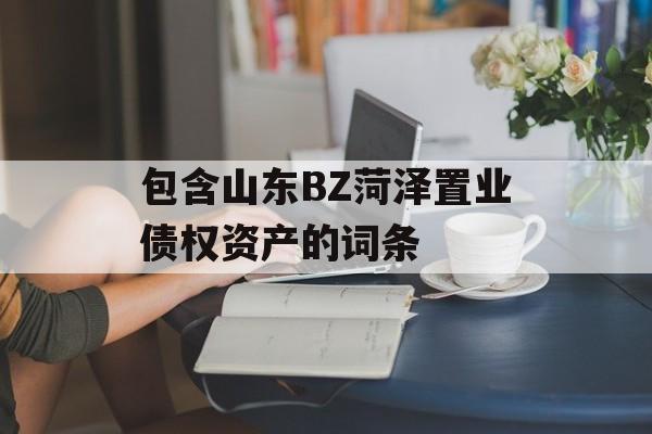 包含山东BZ菏泽置业债权资产的词条