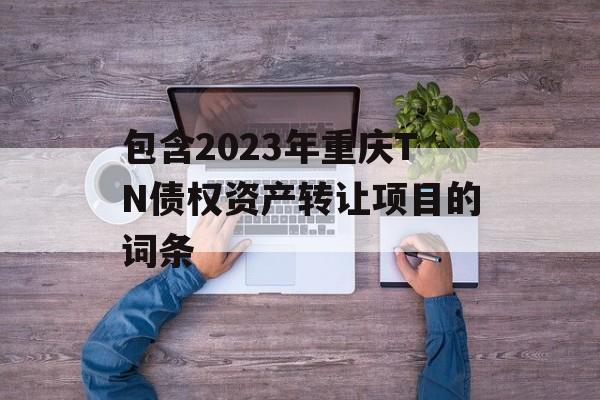 包含2023年重庆TN债权资产转让项目的词条