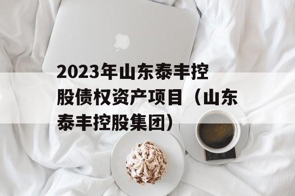 2023年山东泰丰控股债权资产项目（山东泰丰控股集团）