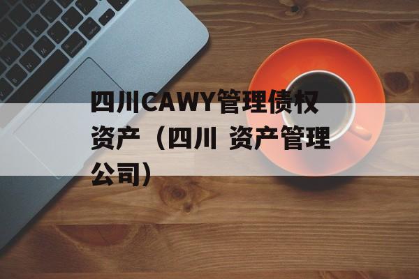 四川CAWY管理债权资产（四川 资产管理公司）