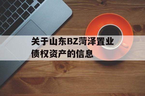 关于山东BZ菏泽置业债权资产的信息