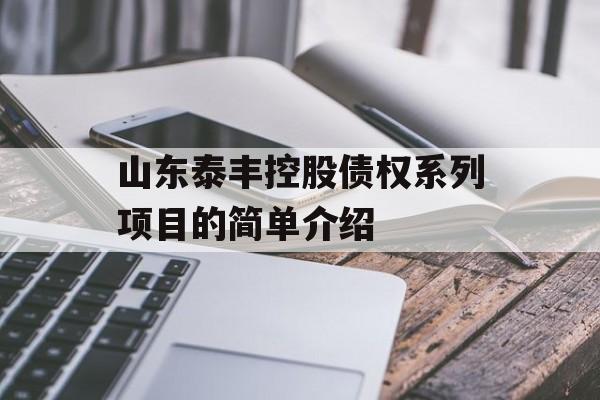 山东泰丰控股债权系列项目的简单介绍