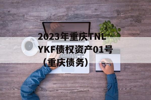 2023年重庆TNLYKF债权资产01号（重庆债务）