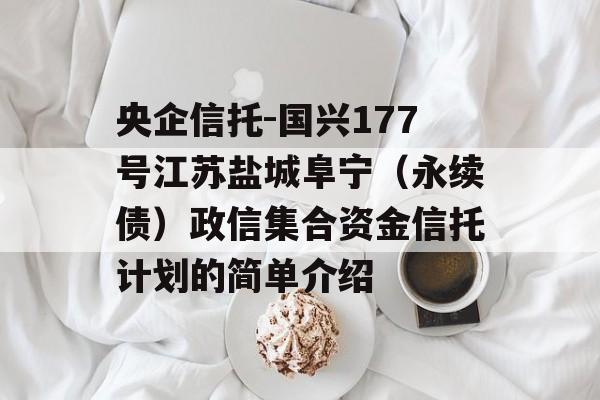 央企信托-国兴177号江苏盐城阜宁（永续债）政信集合资金信托计划的简单介绍