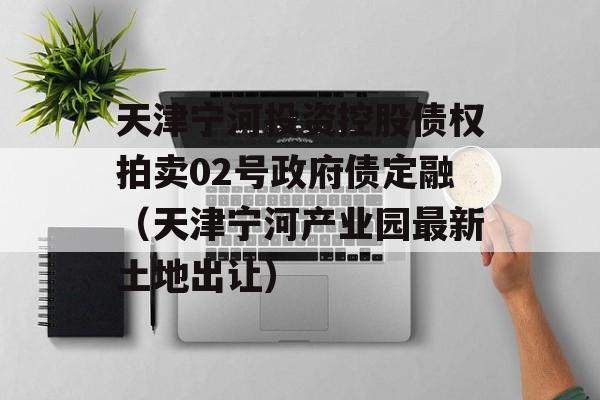 天津宁河投资控股债权拍卖02号政府债定融（天津宁河产业园最新土地出让）