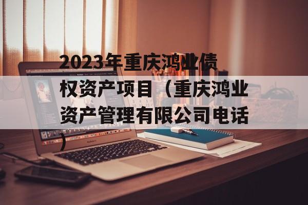 2023年重庆鸿业债权资产项目（重庆鸿业资产管理有限公司电话）