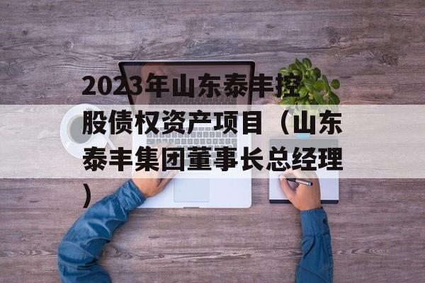 2023年山东泰丰控股债权资产项目（山东泰丰集团董事长总经理）