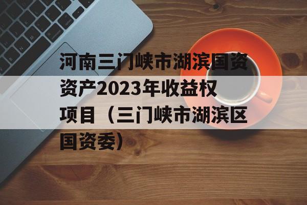 河南三门峡市湖滨国资资产2023年收益权项目（三门峡市湖滨区国资委）