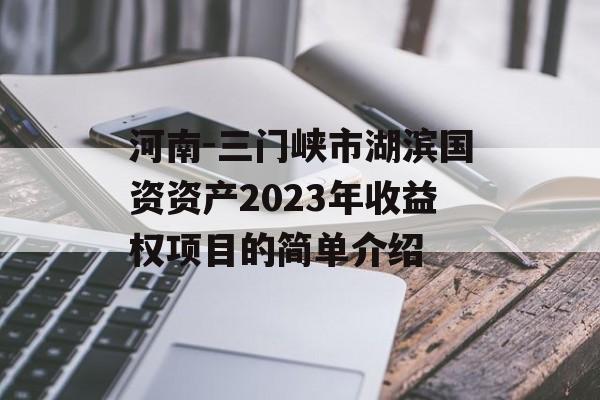 河南-三门峡市湖滨国资资产2023年收益权项目的简单介绍