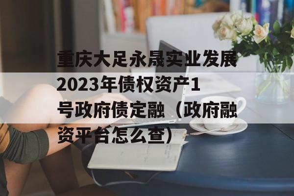 重庆大足永晟实业发展2023年债权资产1号政府债定融（政府融资平台怎么查）