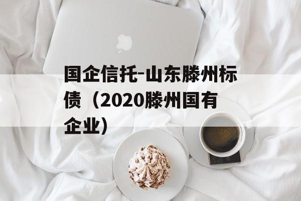 国企信托-山东滕州标债（2020滕州国有企业）