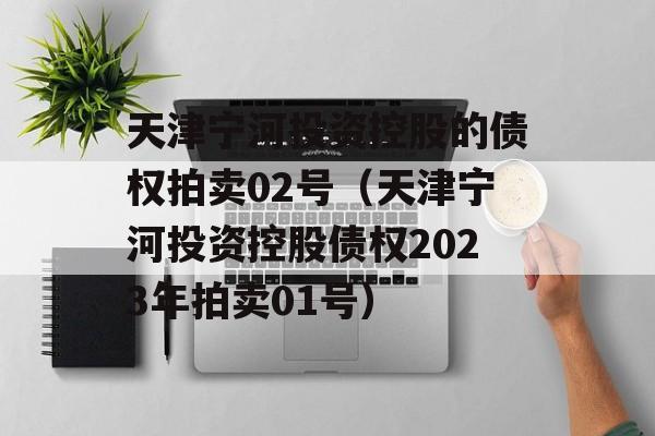 天津宁河投资控股的债权拍卖02号（天津宁河投资控股债权2023年拍卖01号）